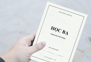 Dịch Thuật Học Bạ Là Gì?